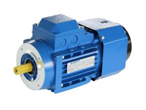 yej series brake ac motor 0.12 22kw, 1000 3000 rpm